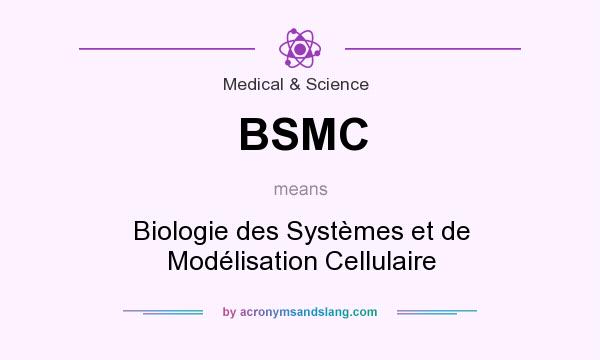 What does BSMC mean? It stands for Biologie des Systèmes et de Modélisation Cellulaire