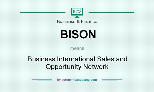 What does BISON mean? It stands for Business International Sales and Opportunity Network