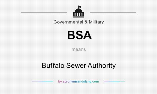 What does BSA mean? It stands for Buffalo Sewer Authority