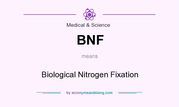 What does BNF mean? It stands for Biological Nitrogen Fixation