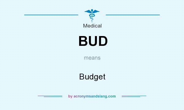 What does BUD mean? It stands for Budget