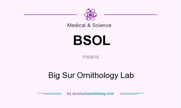 What does BSOL mean? It stands for Big Sur Ornithology Lab
