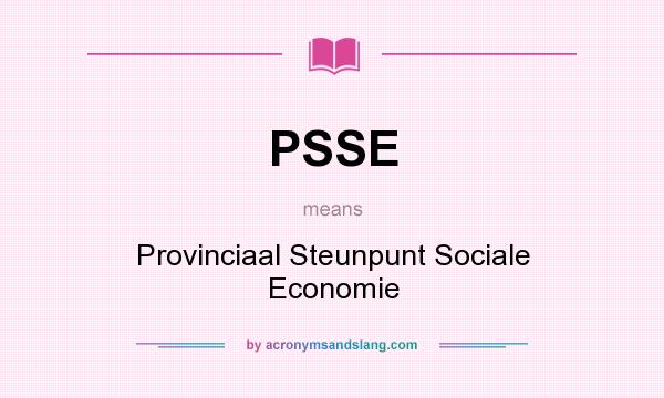 What does PSSE mean? It stands for Provinciaal Steunpunt Sociale Economie