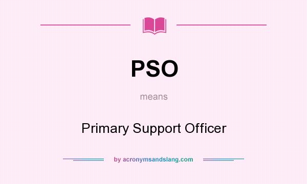 What does PSO mean? It stands for Primary Support Officer