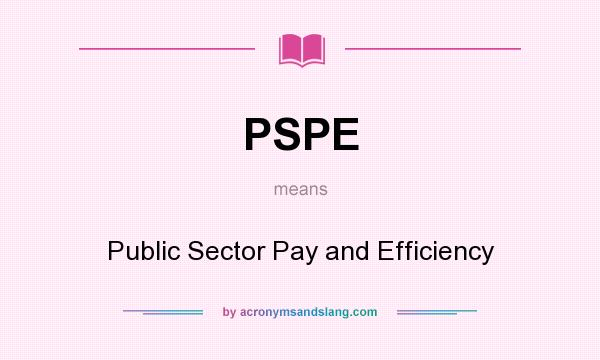What does PSPE mean? It stands for Public Sector Pay and Efficiency
