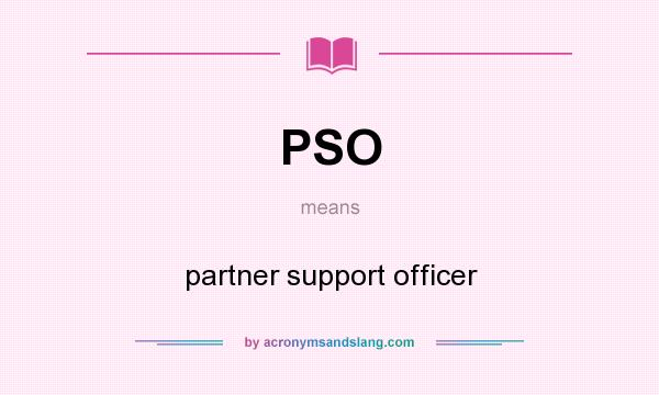 What does PSO mean? It stands for partner support officer