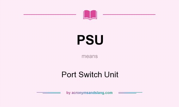 What does PSU mean? It stands for Port Switch Unit
