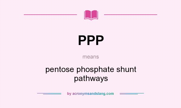 What does PPP mean? It stands for pentose phosphate shunt pathways