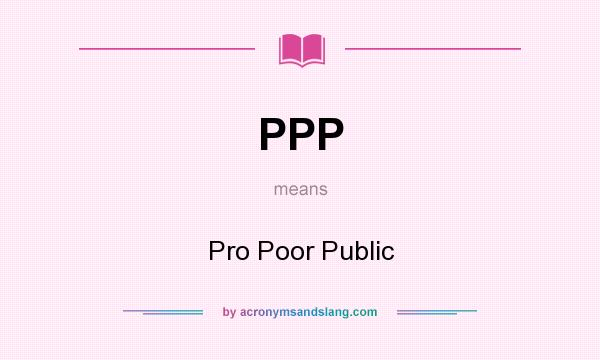 What does PPP mean? It stands for Pro Poor Public