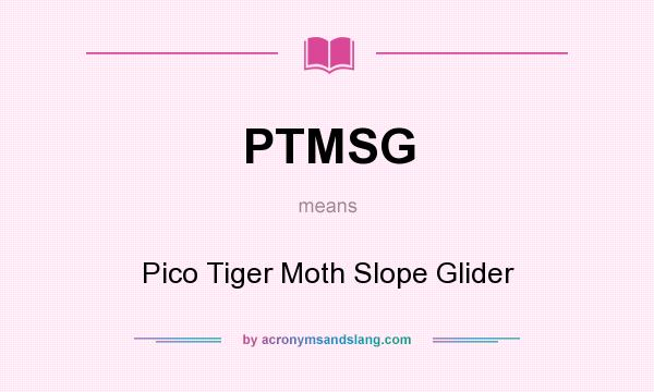 What does PTMSG mean? It stands for Pico Tiger Moth Slope Glider