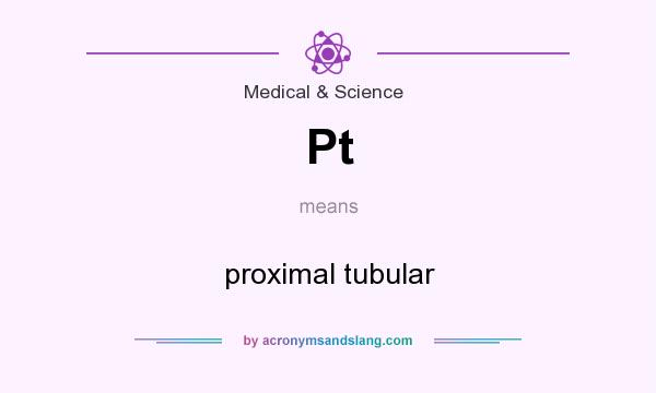 What does Pt mean? It stands for proximal tubular