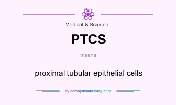 What does PTCS mean? It stands for proximal tubular epithelial cells