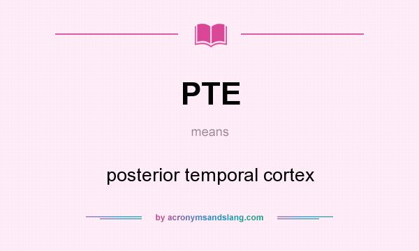What does PTE mean? It stands for posterior temporal cortex