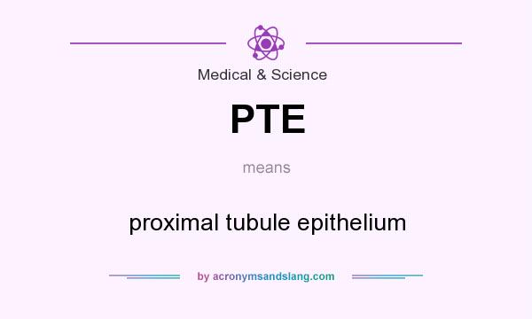 What does PTE mean? It stands for proximal tubule epithelium