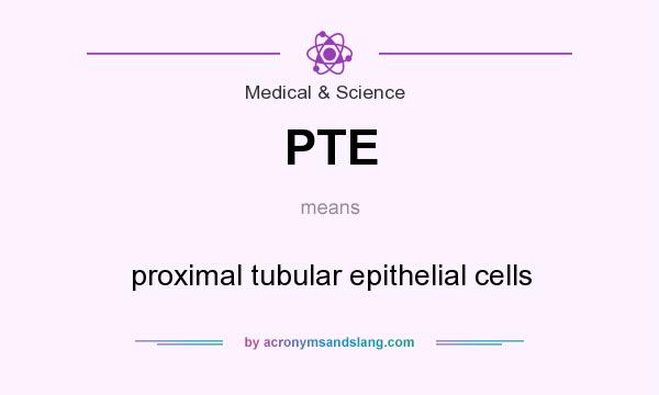What does PTE mean? It stands for proximal tubular epithelial cells