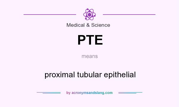 What does PTE mean? It stands for proximal tubular epithelial