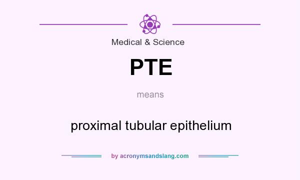 What does PTE mean? It stands for proximal tubular epithelium