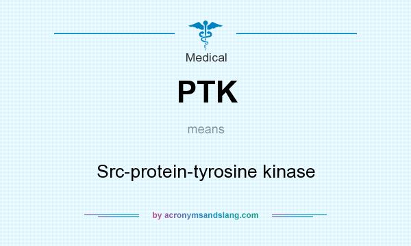 What does PTK mean? It stands for Src-protein-tyrosine kinase