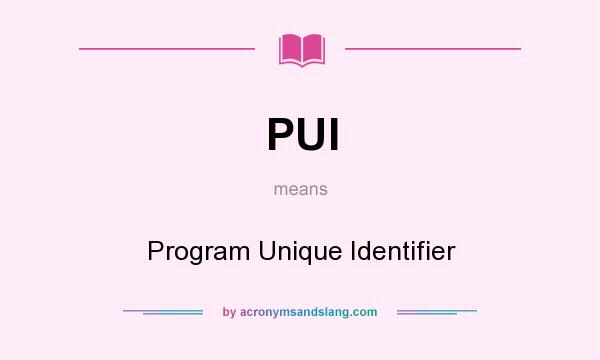 What does PUI mean? It stands for Program Unique Identifier