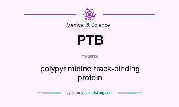 What does PTB mean? It stands for polypyrimidine track-binding protein