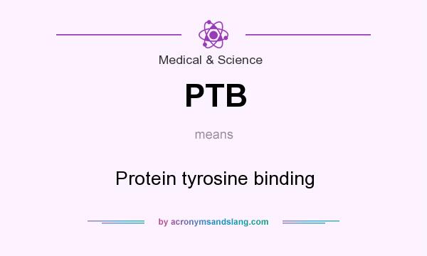 What does PTB mean? It stands for Protein tyrosine binding