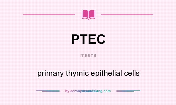 What does PTEC mean? It stands for primary thymic epithelial cells