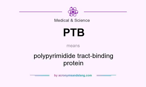 What does PTB mean? It stands for polypyrimidide tract-binding protein