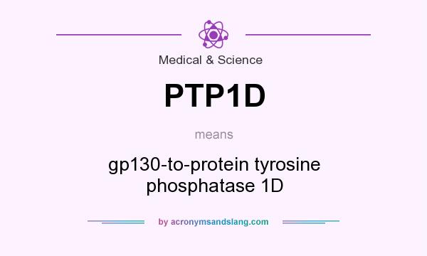 What does PTP1D mean? It stands for gp130-to-protein tyrosine phosphatase 1D
