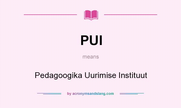 What does PUI mean? It stands for Pedagoogika Uurimise Instituut