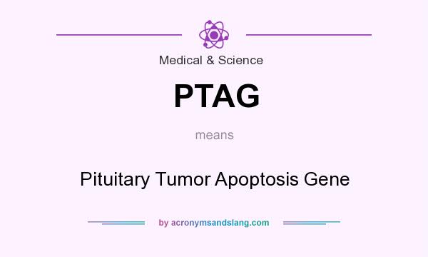 What does PTAG mean? It stands for Pituitary Tumor Apoptosis Gene