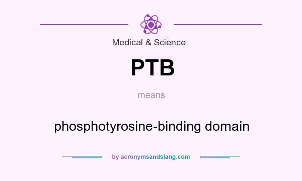What does PTB mean? It stands for phosphotyrosine-binding domain