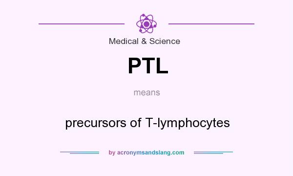 What does PTL mean? It stands for precursors of T-lymphocytes