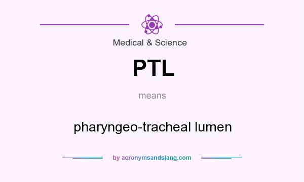 What does PTL mean? It stands for pharyngeo-tracheal lumen
