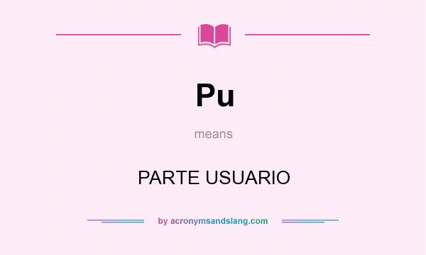 What does Pu mean? It stands for PARTE USUARIO