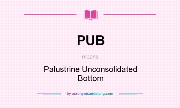 What does PUB mean? It stands for Palustrine Unconsolidated Bottom