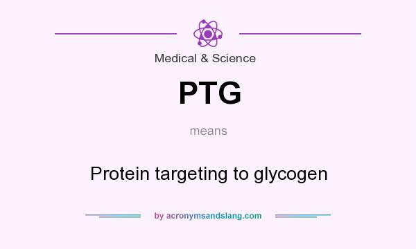 What does PTG mean? It stands for Protein targeting to glycogen