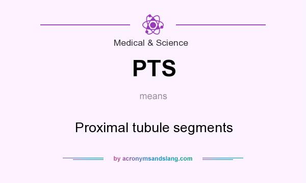 What does PTS mean? It stands for Proximal tubule segments