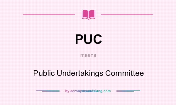 What does PUC mean? It stands for Public Undertakings Committee
