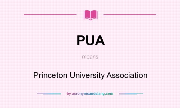 What does PUA mean? It stands for Princeton University Association