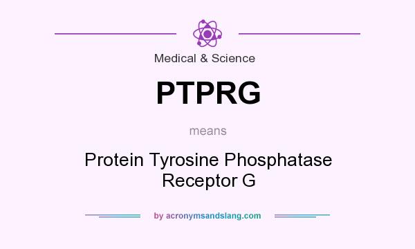 What does PTPRG mean? It stands for Protein Tyrosine Phosphatase Receptor G