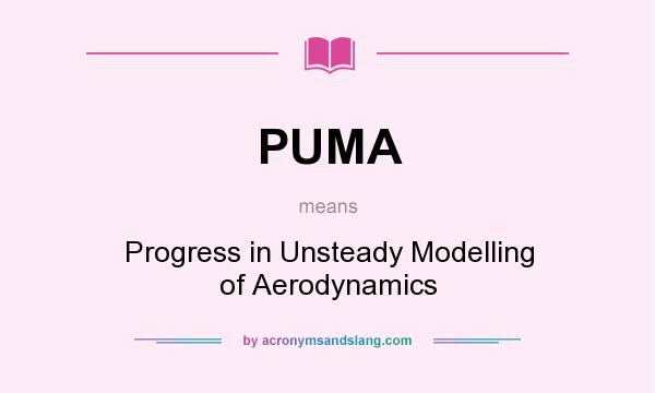 What does PUMA mean? It stands for Progress in Unsteady Modelling of Aerodynamics