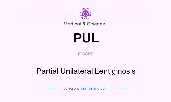 What does PUL mean? It stands for Partial Unilateral Lentiginosis