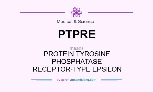 What does PTPRE mean? It stands for PROTEIN TYROSINE PHOSPHATASE RECEPTOR-TYPE EPSILON