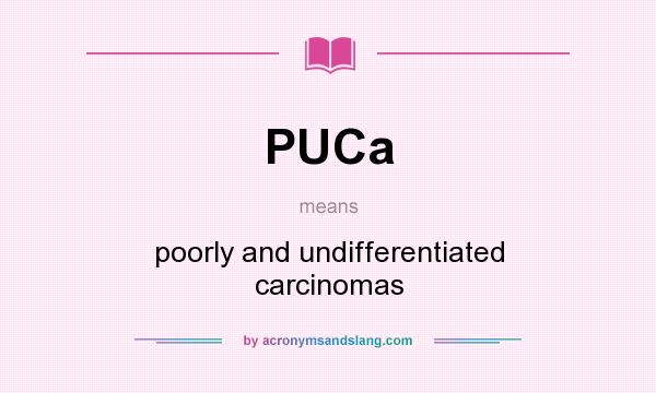 What does PUCa mean? It stands for poorly and undifferentiated carcinomas