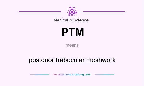 What does PTM mean? It stands for posterior trabecular meshwork