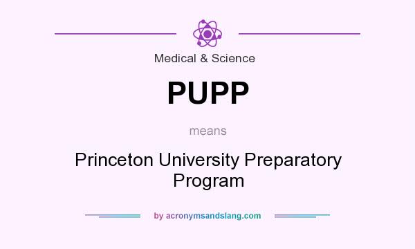 What does PUPP mean? It stands for Princeton University Preparatory Program