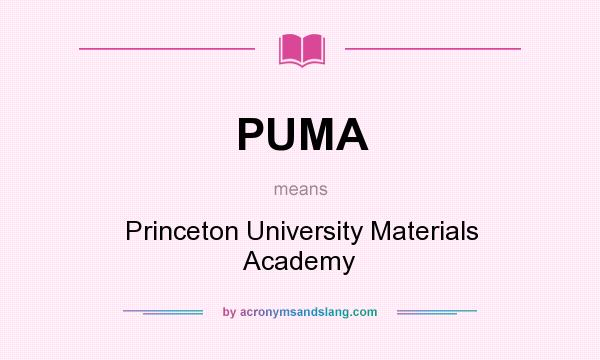 What does PUMA mean? It stands for Princeton University Materials Academy