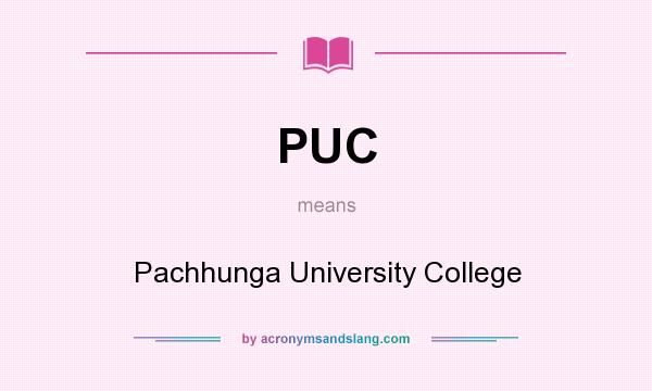 What does PUC mean? It stands for Pachhunga University College