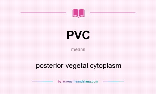 What does PVC mean? It stands for posterior-vegetal cytoplasm