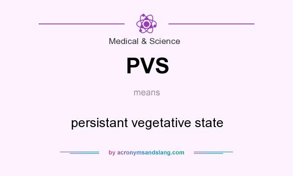 What does PVS mean? It stands for persistant vegetative state
